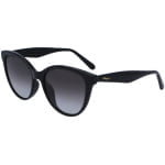 SALVATORE FERRAGAMO SF1073S  001